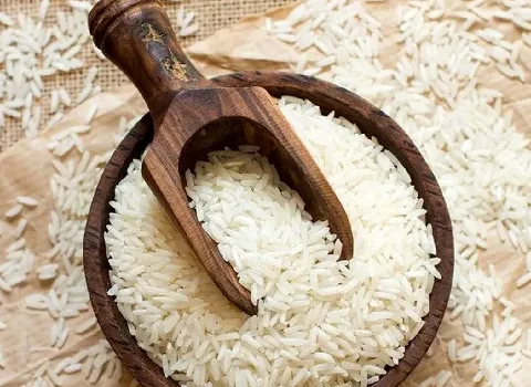 خرید و قیمت برنج طارم هاشمی مازندران + فروش عمده